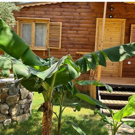 Derin Tas-Bungalow Datça Eksteriør billede
